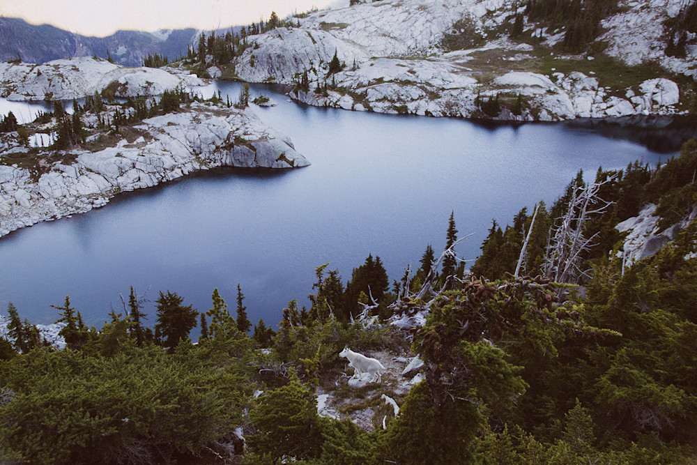 Colton-Jacobs-Alpine-Lake-Wild-6