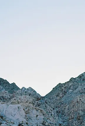 Exploring Indigo Landscapes in Joshua Tree National Park