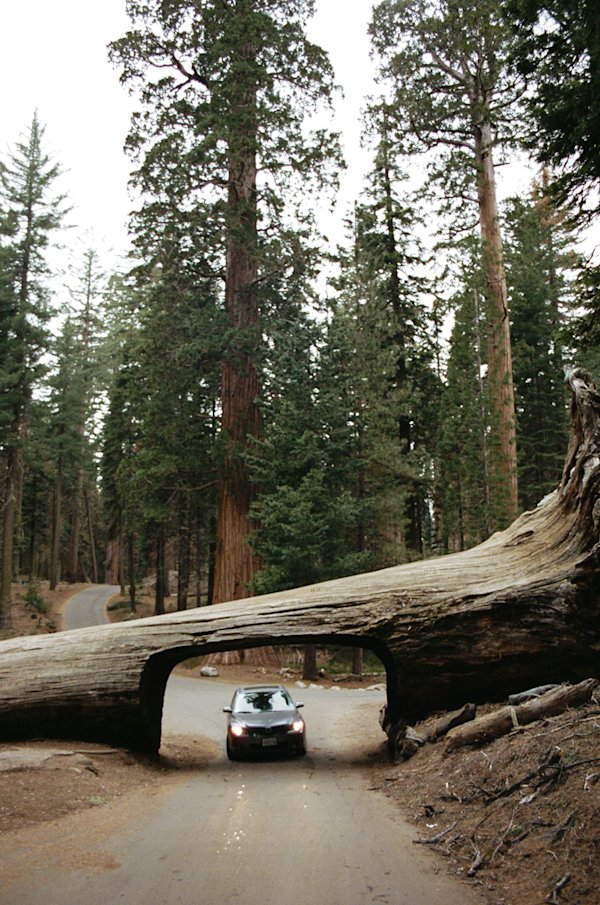 Tom-Loach-King-Canyon-6