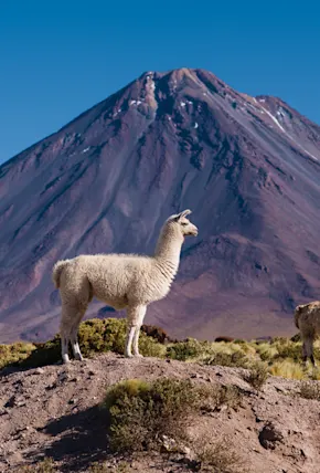 South America at Elevation