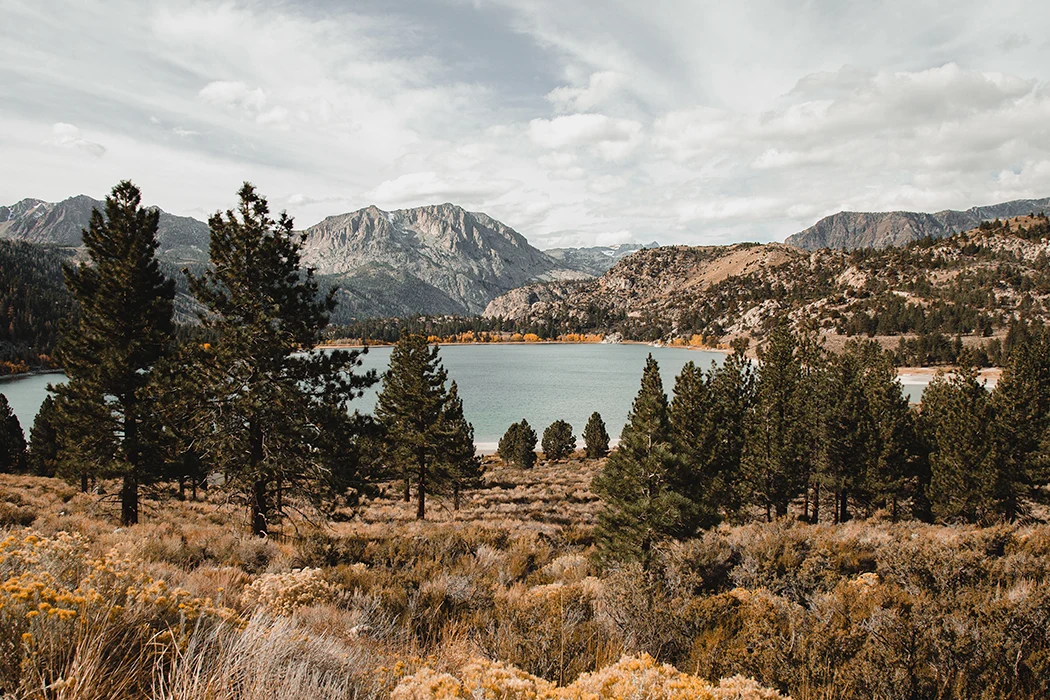 Campsite and Lake Background (Extended) Pack