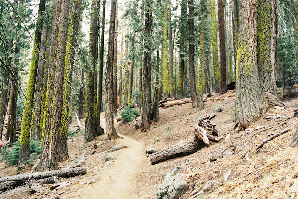 A-Upchurch-Taft-Point-11