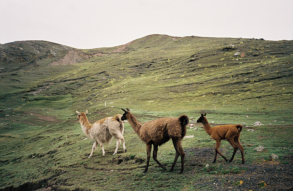 Rainbow-Mountain-Trek-Peru-4