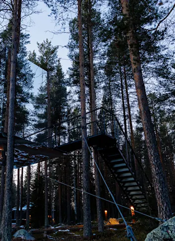 8 Mirror Houses You Can Stay In And Fade Away Into the Landscape
