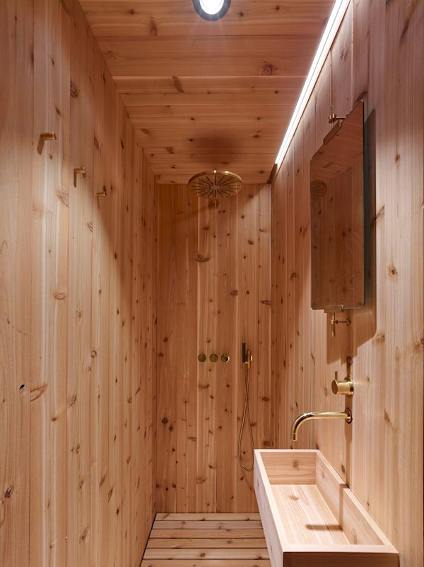 a45-big-cabin-ny-3