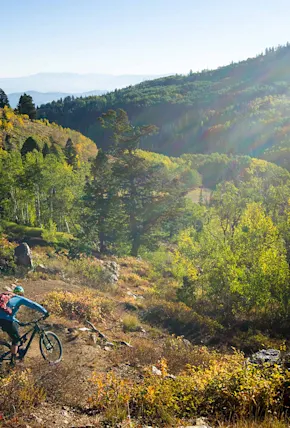 Ride, Eat, Repeat: A Mountain Biker's Guide to Park City, UT