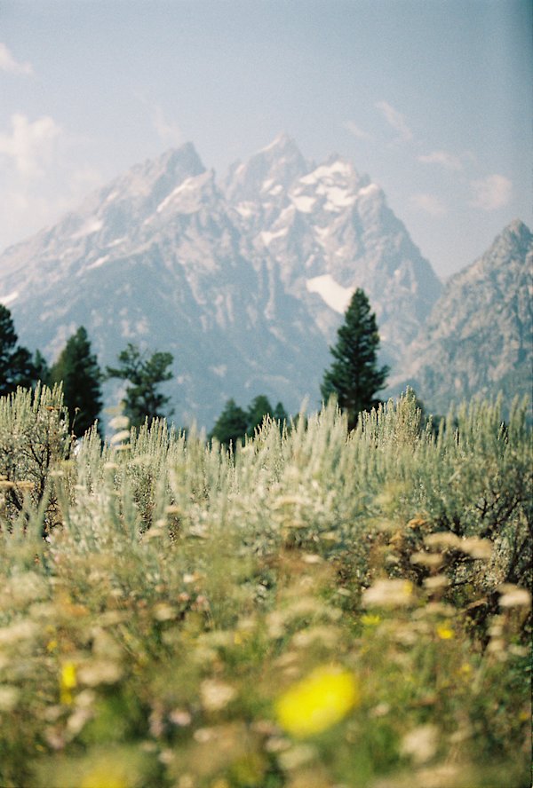 Natalie-Allen-6-Tetons