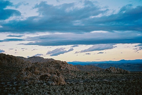 GH-JoshuaTree-24