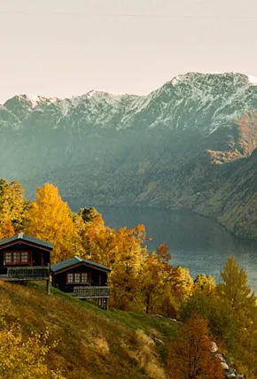 Film Photography and Learning to Cede Control in Norway's Fjords