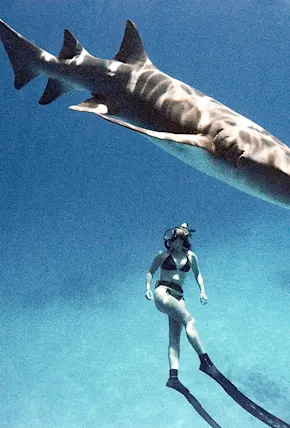 A Lesson in Underwater Film Photography, While Swimming With Sharks