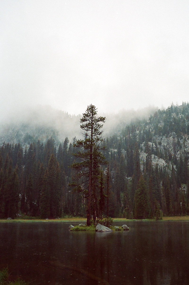 Hiemstra-Hike-2019-Elkhorns-Fieldmag-29