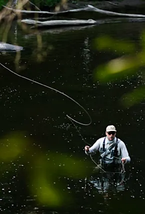 Fly Fishing Gear Essentials: A Guide for Beginner & Seasoned Fishers