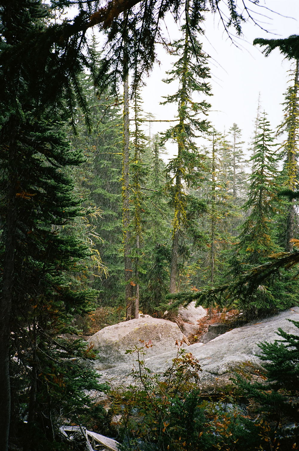 Tolle-Enchantment-21
