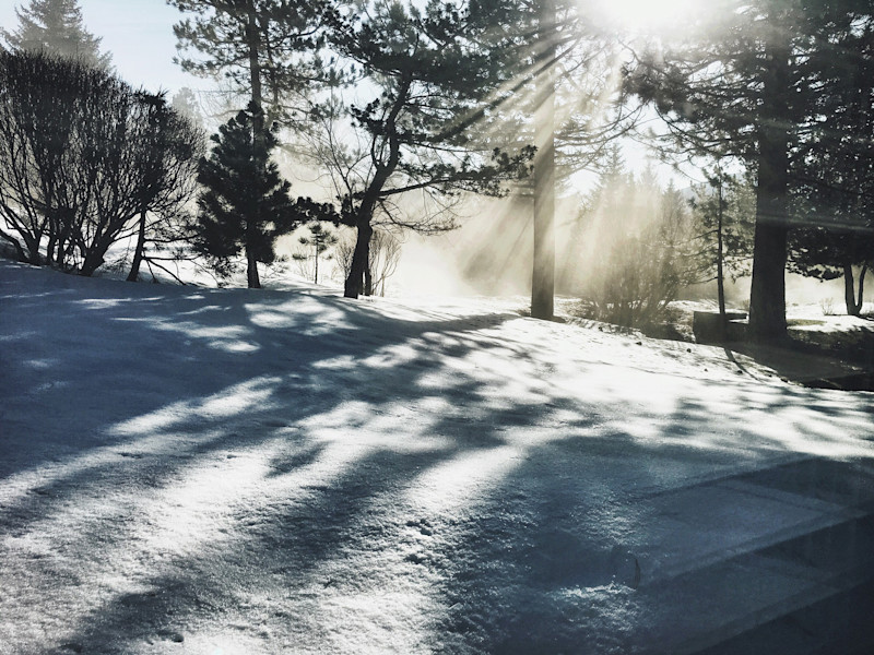 Sarah-Attar-Eastern-Sierra-5