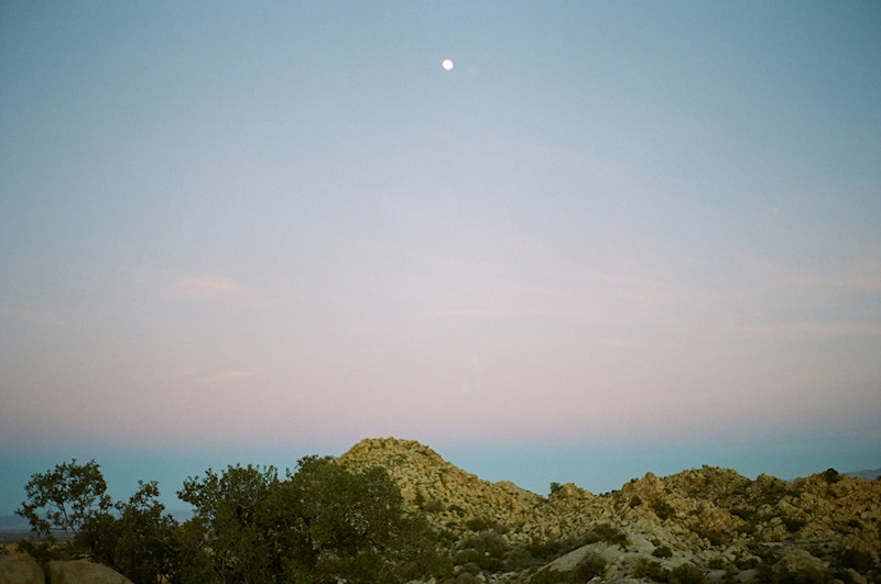 Ramon-Barcenas-Joshua-Tree-Field-Mag-5