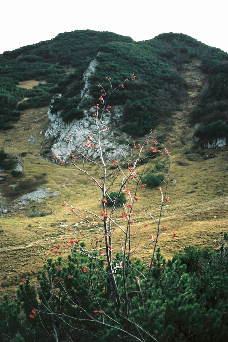 Philipp-Wortmann-fall-alpine-hike-4