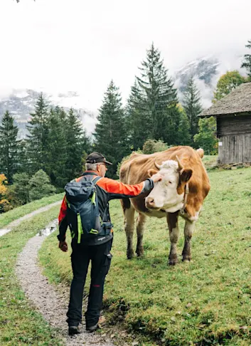 A Hiker's Guide to Grindelwald, Switzerland: Alpine Trails & Cheese Lockers