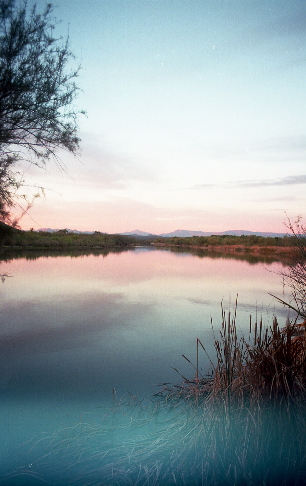 Sean-Collier-Sonora-Desert-8