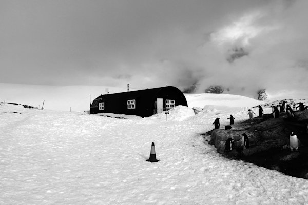 Losse-Antarctic-Icebreaker-10