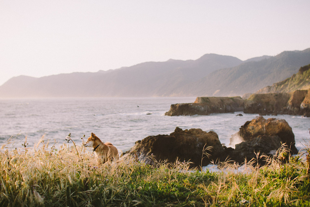 Colton-Jacobs-Lost-Coast-23