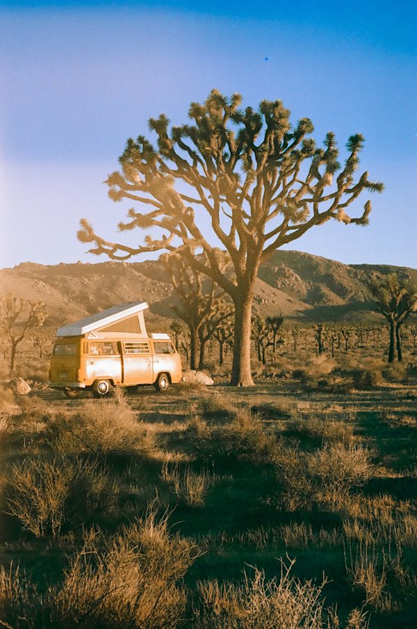 Barkman-JT-Vanlife-15