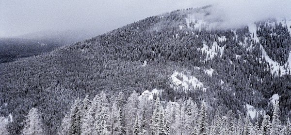 Alec-Walsh-Montana-Hut-Ski-3