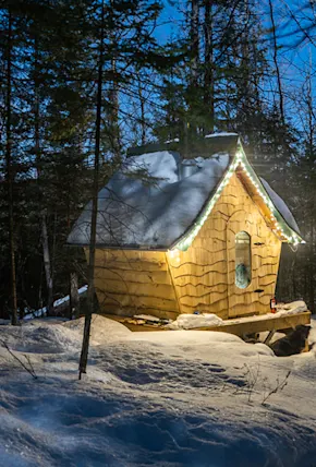 How to Build a DIY Sauna in Your Backyard for $5,600