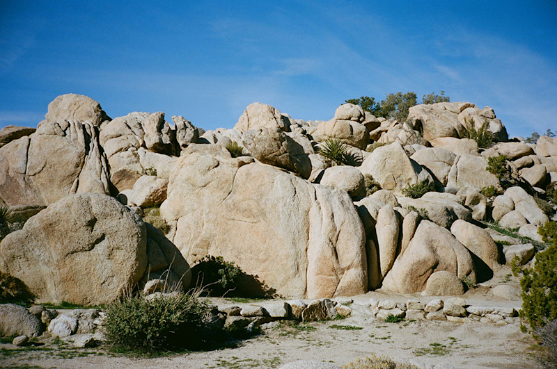 A City Dweller's Guide to the Perfect Joshua Tree Weekend Trip