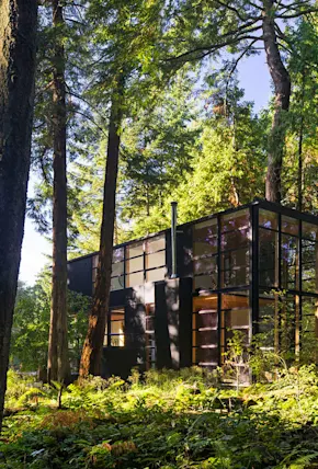 Point Robert's Lightbox Home Is a Nature Lover's Dream