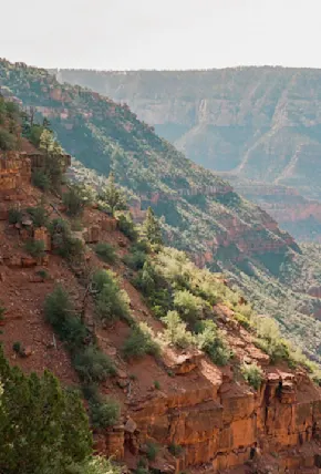 Arizona Trail Guide: Everything You Need to Know About This Rewarding Trail