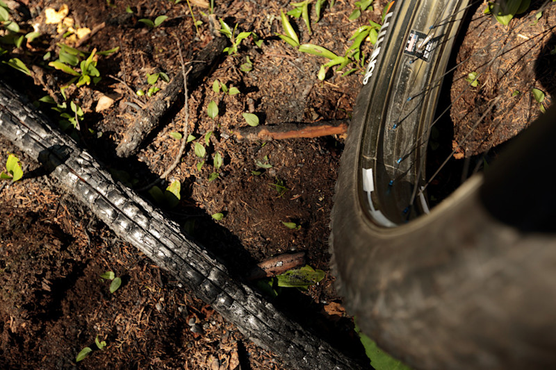 TC-Worley-BikeCanoe-17