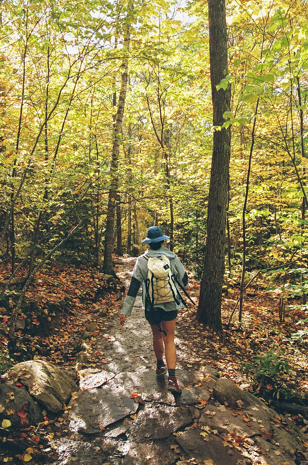 Salomon-Catskills-Hike-Kaaterskill-12