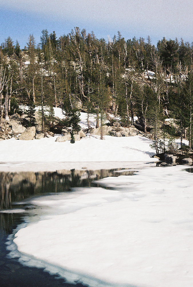 Nash-Rood-Enchantments-Fieldmag-6