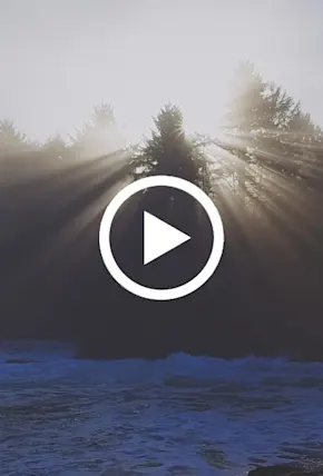 Cold & Lovable in the PNW