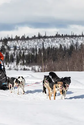 On the Fjällräven Polar, Anyone Can Be an Arctic Explorer
