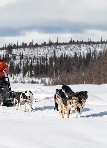 On the Fjällräven Polar, Anyone Can Be an Arctic Explorer