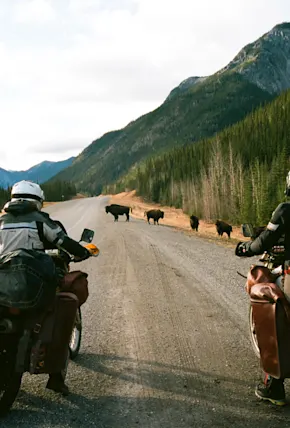 Pan-American Trail Part One: The Alaskan Highway