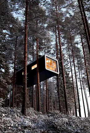 Sweden's Treehotel Consists of 7 Weird & Wonderful Cabins in the Trees