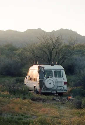Capturing the Sonoran Desert Super Bloom on 35mm Film