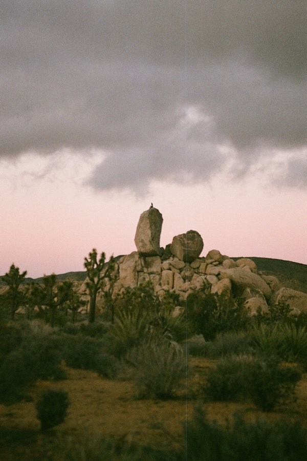 M-Richardson-Joshua-Tree-13