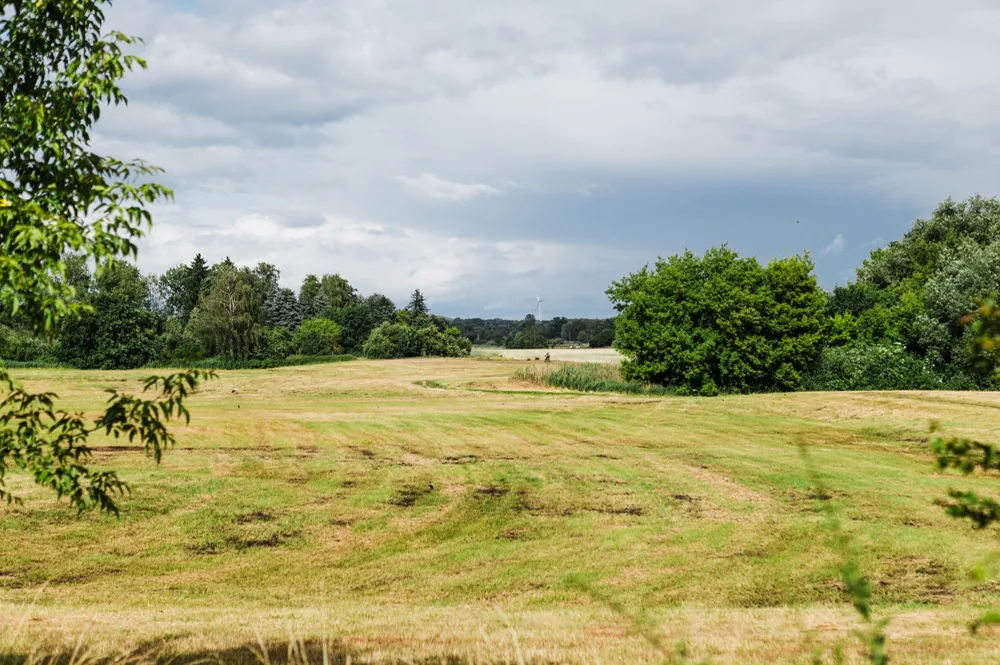 berlin-wall-trail-guide-fields
