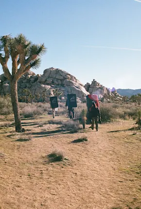Overnight Rock Climbing in Joshua Tree National Park