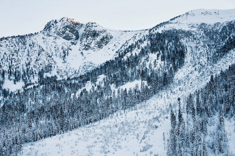 Sarah-Attar-Eastern-Sierra-20