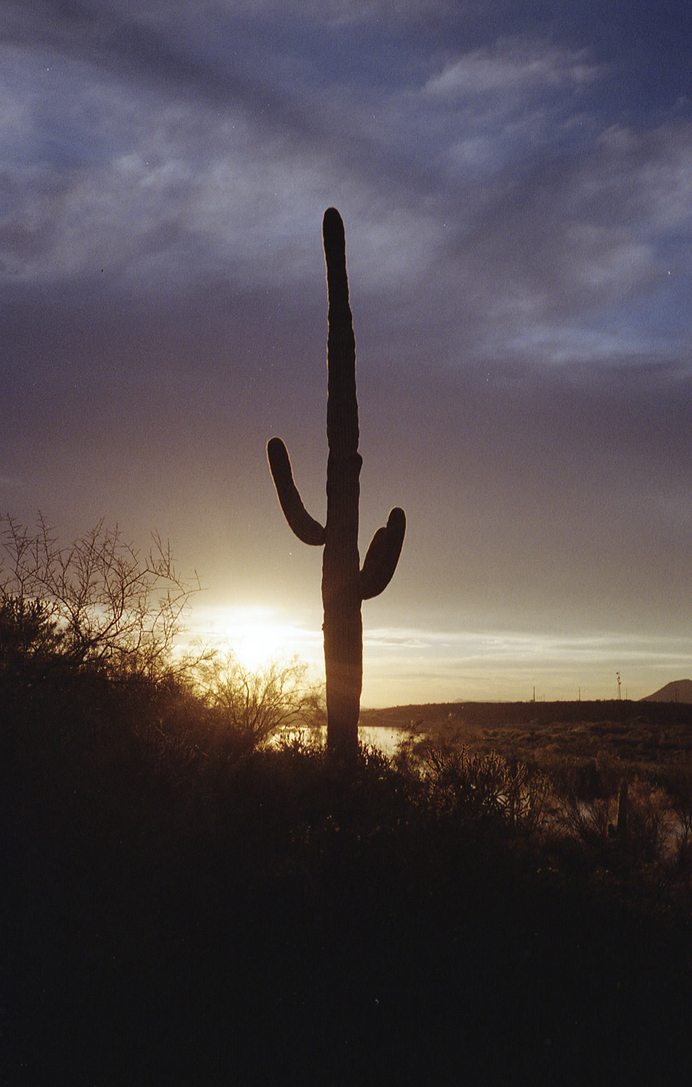 Sean-Collier-Sonora-Desert-13
