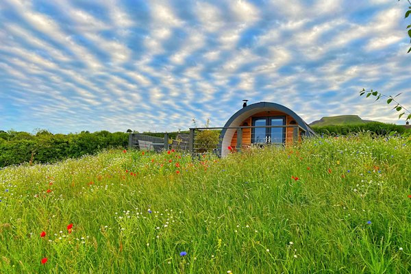 northern-ireland-glamping-sites-sycamore-pods-exterior