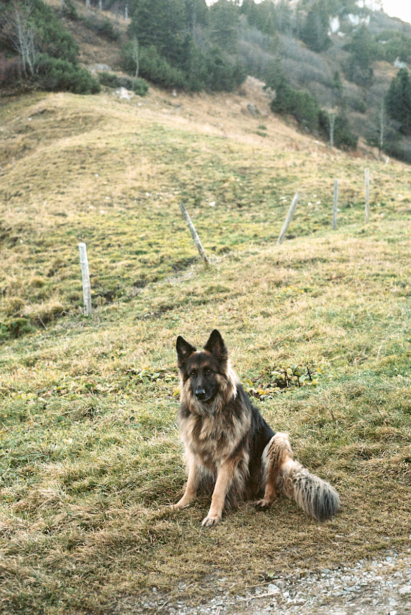 Philipp-Wortmann-fall-alpine-hike-15
