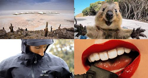 This Week's Best Articles, From Around the Web