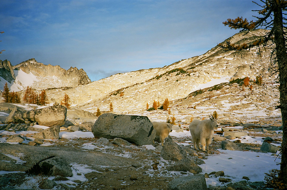 Tolle-Enchantment-17