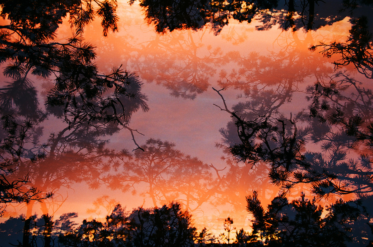 Experimental Visions From Sweden’s Saint Anna Archipelago