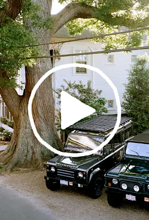 How America's Largest Japanese Pagoda Tree Came to Martha's Vineyard